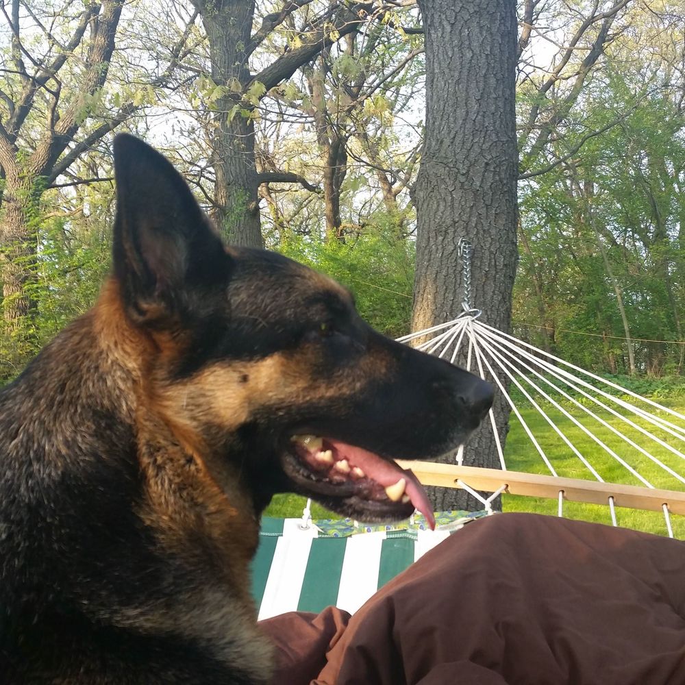 Meet your Posher, Ella